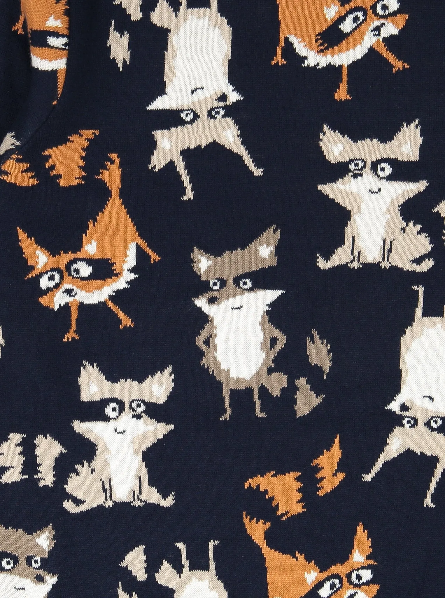 Kids Raccoon Jumper