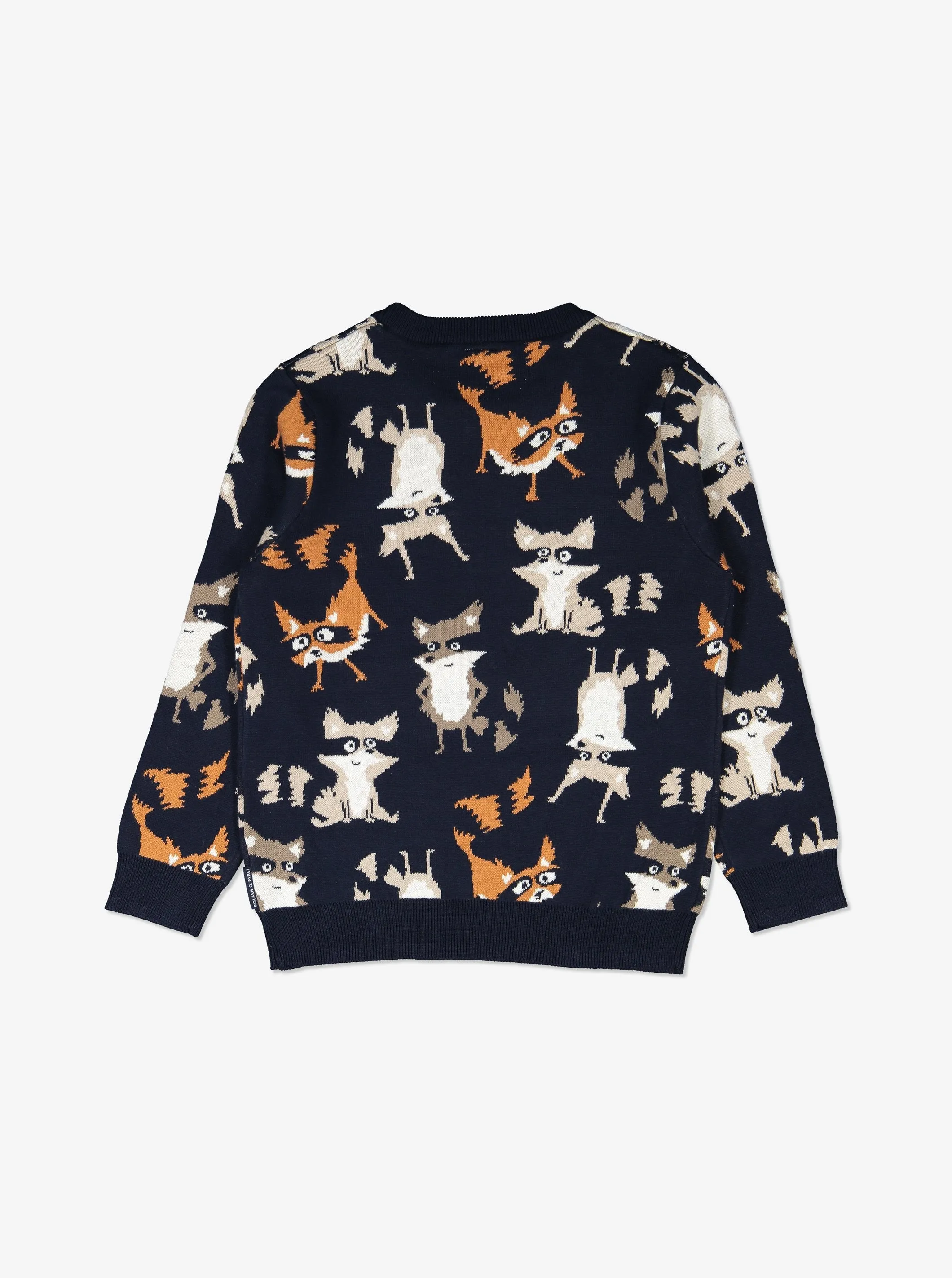 Kids Raccoon Jumper