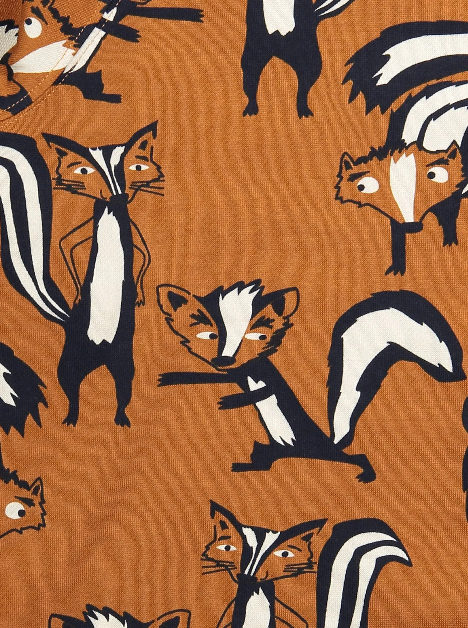 Skunk Print Kids Sweatshirt
